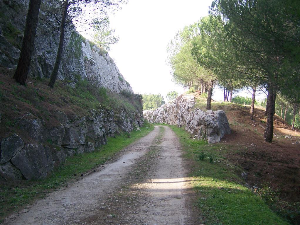 Il Triclinio B&B Piazza Armerina Bagian luar foto